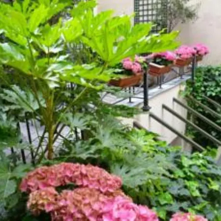 بوميه باريس